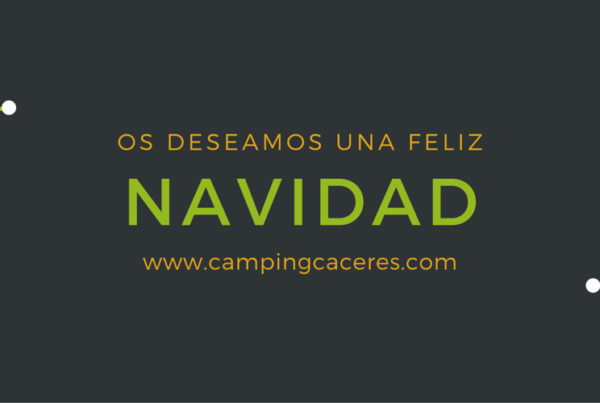 Felices Fiestas 2015